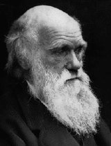 darwin.gif (14110 bytes)